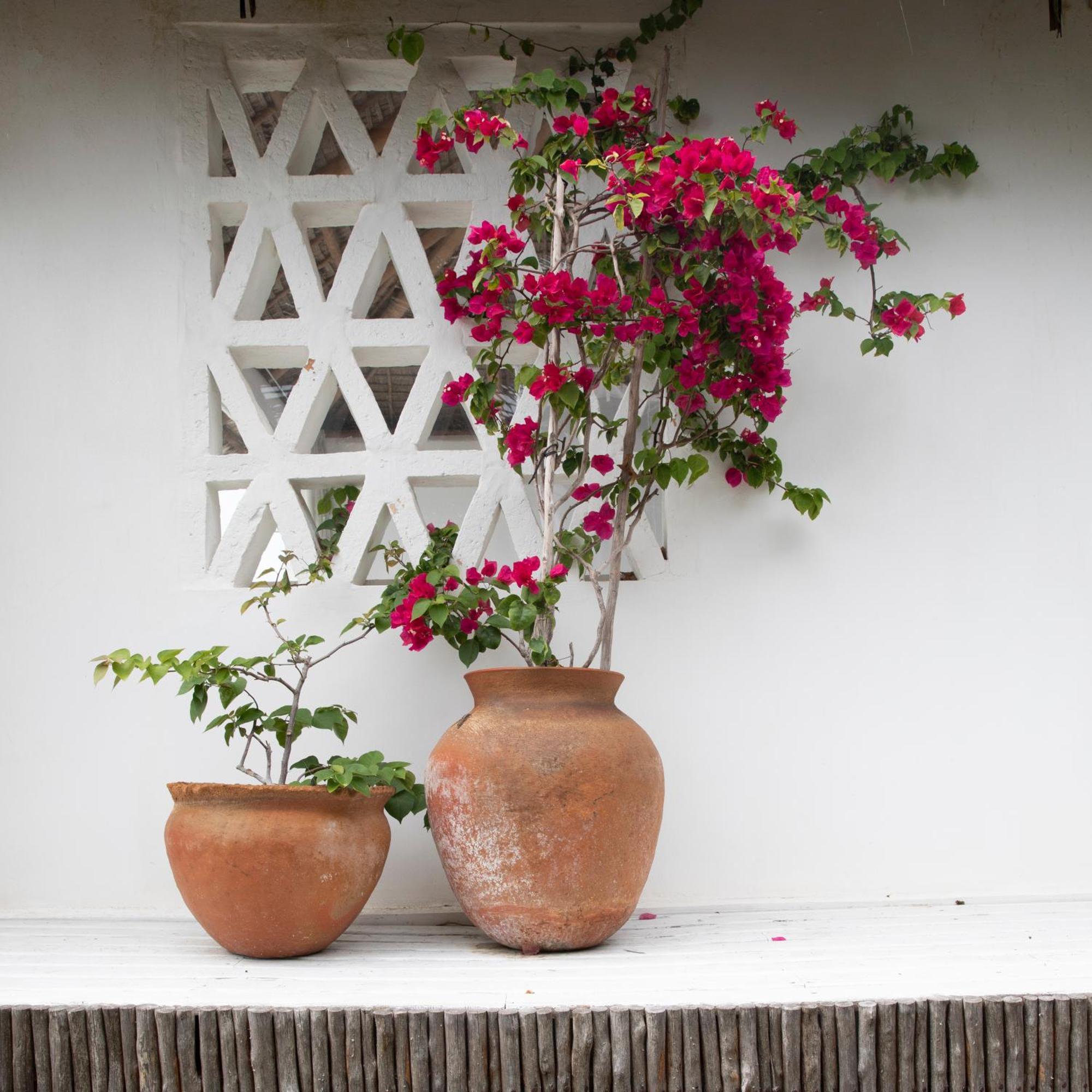 Mar-Me-Quer, Eco Beach Retreat Inhambane Exterior foto